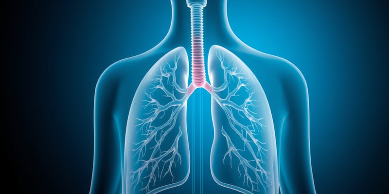 Breathing Process Overview