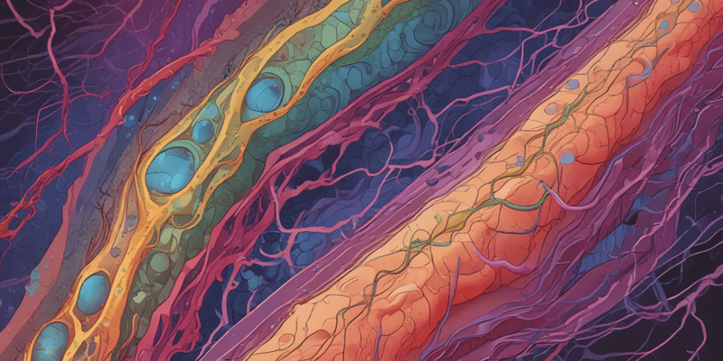 Cell Junctions in Epithelial Tissue