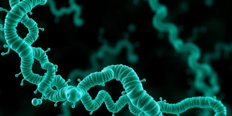 Biochemistry Week 8: G Proteins