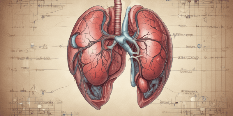 Bioquímica: Función Hepática y Anatomía del Hígado