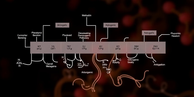 Lippincott's Biochemistry Chapter 20 - Amino Acids (Degradation and Synthesis)