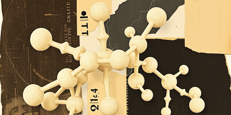 Carbohydrate Classification and Structure