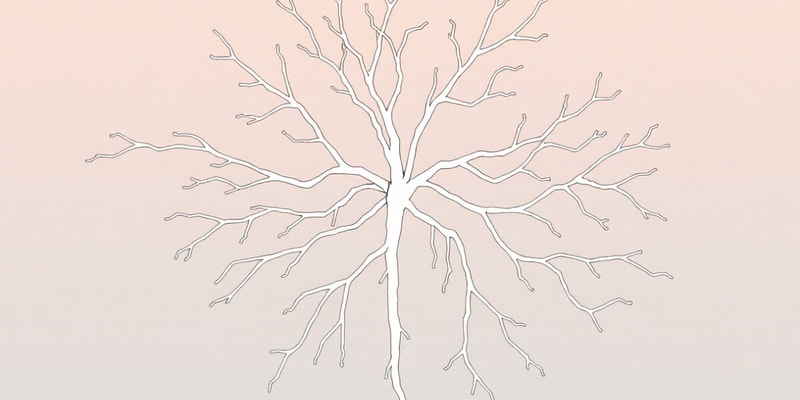 Nervous System Organization Quiz