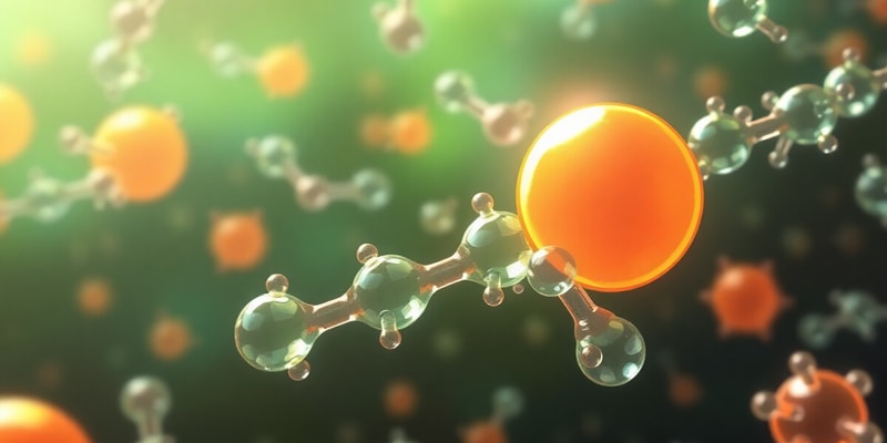 Beta-Lactam Antibiotics Overview