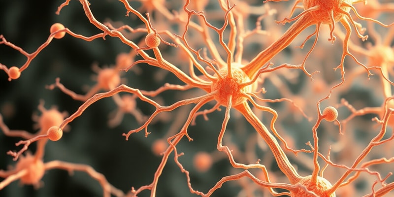 Cytoskeletal Filaments and Functions