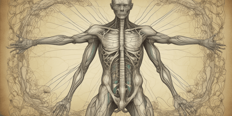 Anatomy and Physiology of the Lymphatic System