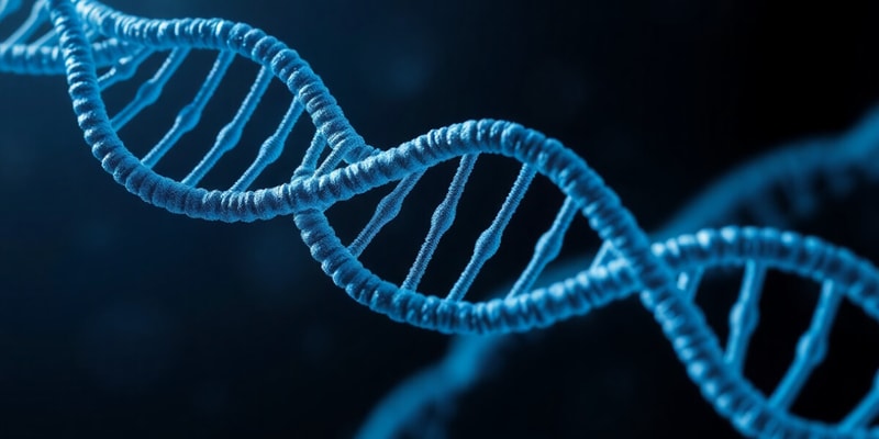 Gene Expression in Prokaryotes: Transcription