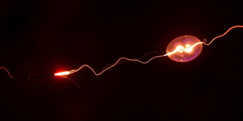 Physics Chapter 1: Electric Charges and Fields