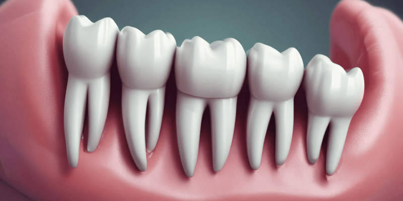 Dental Matrices