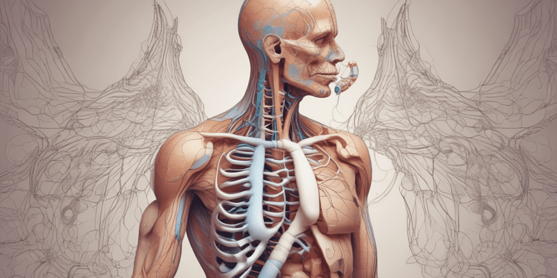 Biology: The Respiratory System
