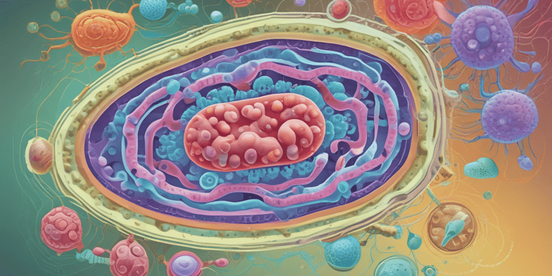 Bacterial Cell Wall Structure and Function