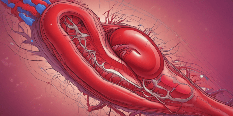 Atherosclerosis and Vascular Disease