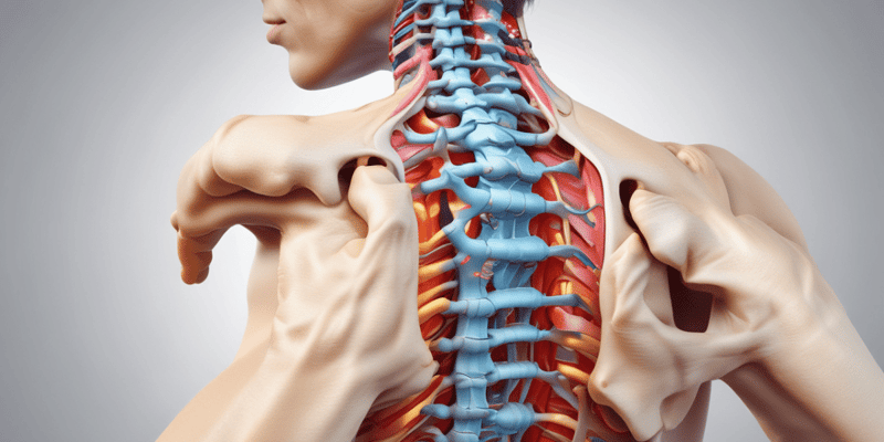 Spinal Deformities and Disc Herniation Quiz
