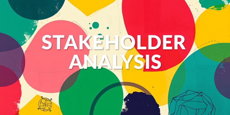 Stakeholder Analysis and Risk Management