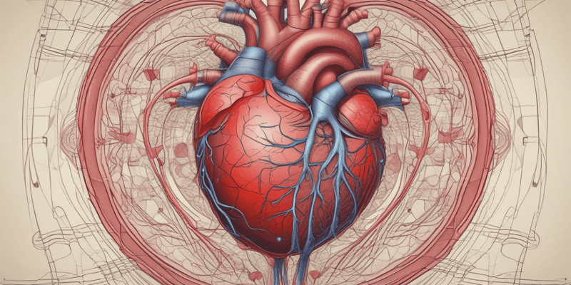 Circulatory System: Heart Contractions and Blood Flow