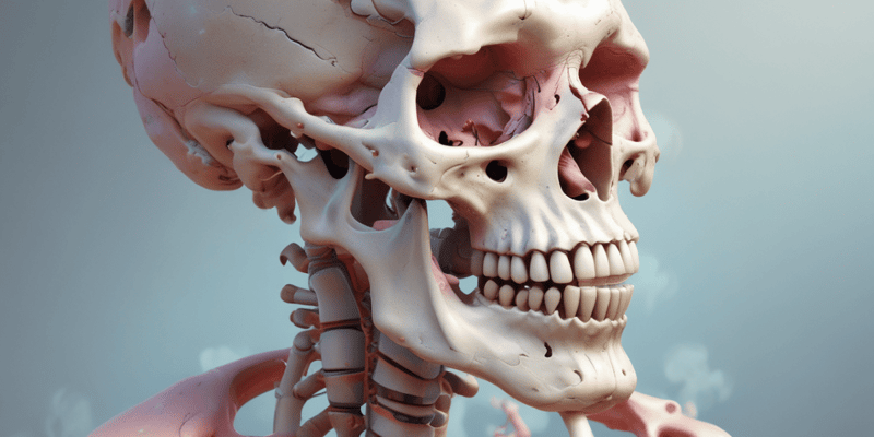 Bone Growth and Hormonal Regulation Quiz
