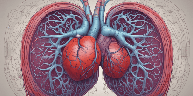 3.1 ;part 2Anatomy of the Cardiovascular System