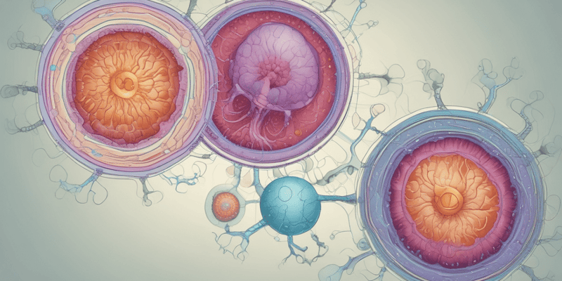 Embryology: Developmental Stages