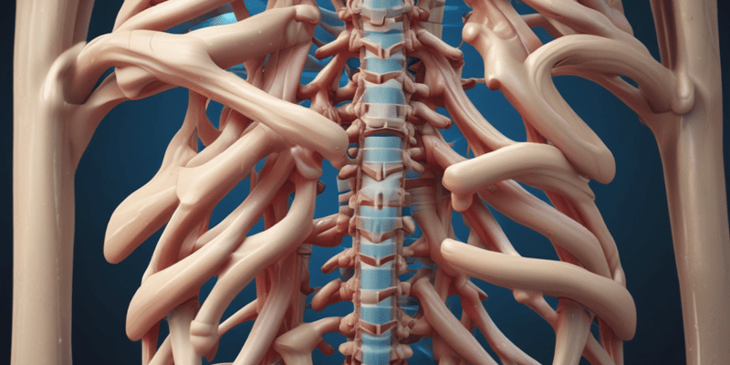 Spinal Shear Forces and Movements Quiz