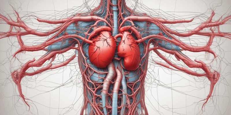 MBBS1 FPP: Flow and Pressure