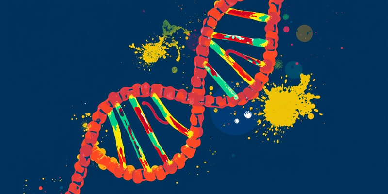 RNA Overview and Types