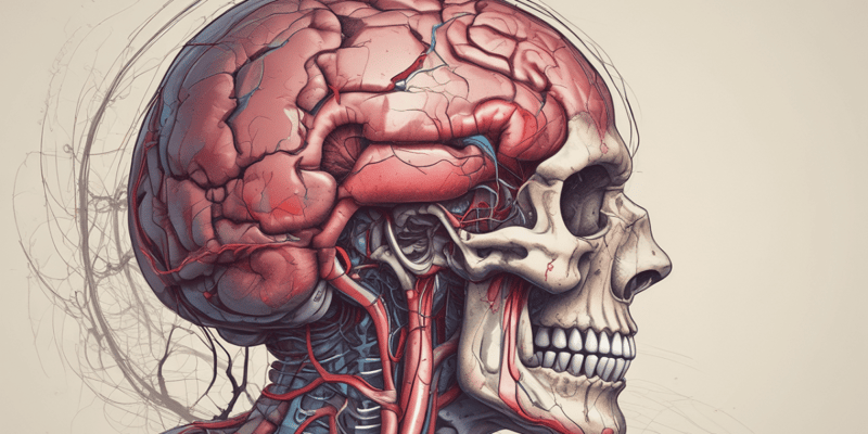 Cerebrovascular Accidents and Hemorrhages