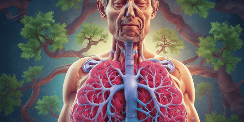 Respiratory System: Bronchial Tree and Bronchioles Function