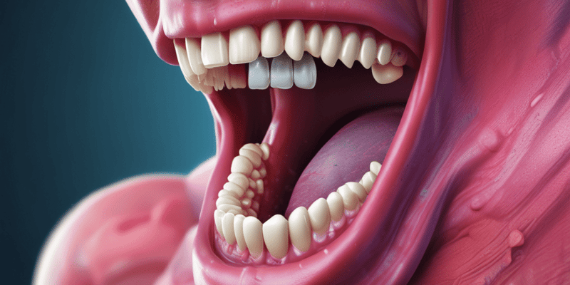 BMS 133: Oral Cavity, Palate, and Tonsils Hypertrophy Quiz