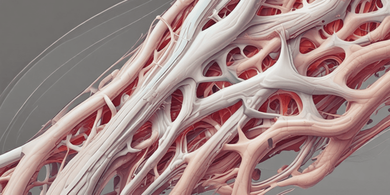 Tendons and Their Function Quiz
