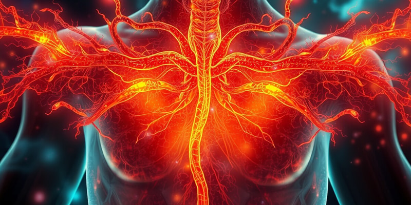 Les Glandes Endocrines et leurs Hormones