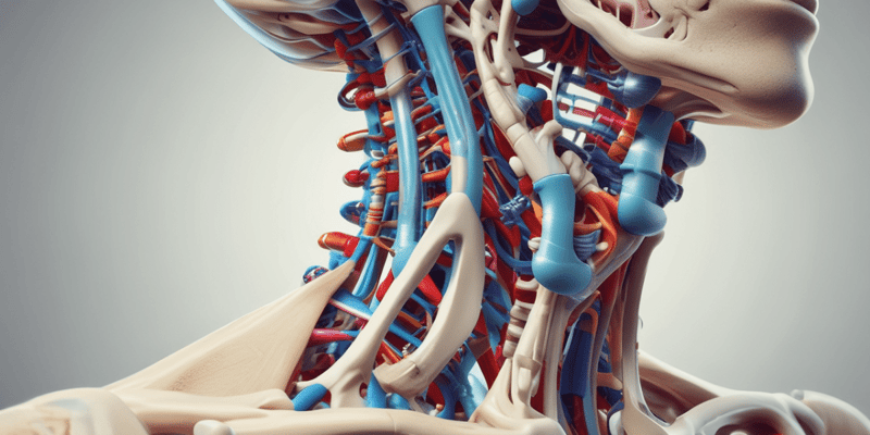 The Cervical Spine PP6012 Quiz