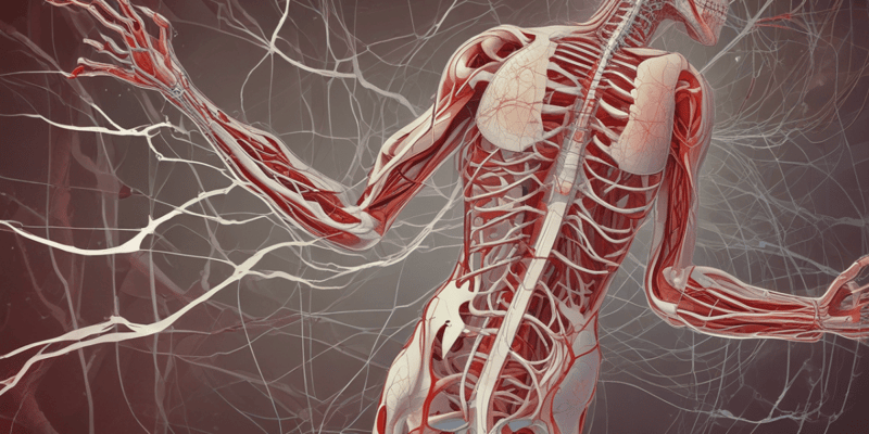 Physiology: Autonomic Nervous System and Blood Flow Regulation