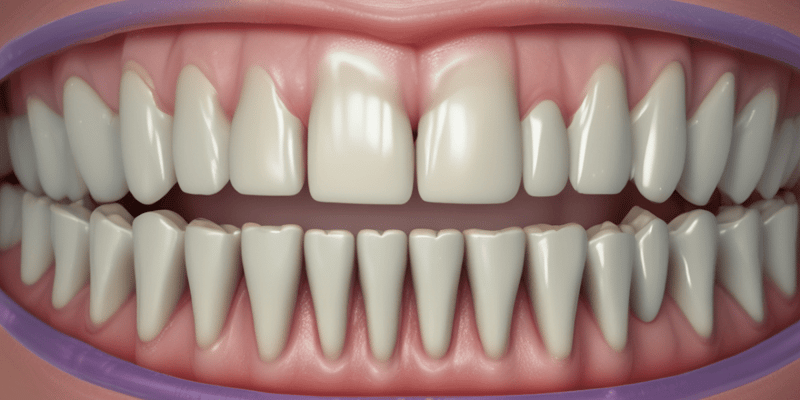Dental Occlusion Relations