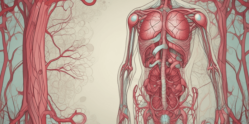 Arteries and Veins: Blood Circulation