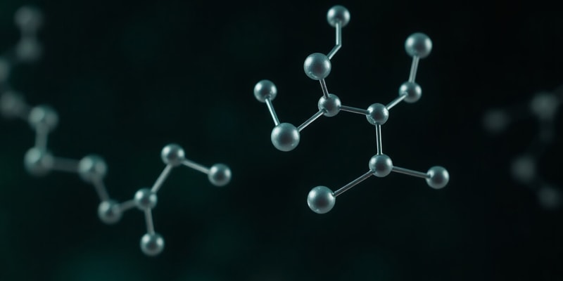 Amino Acids and Their Functions