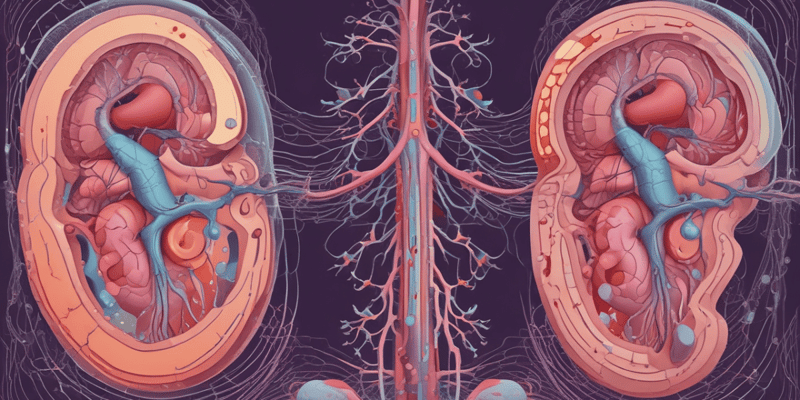 Nephrology: Stages of Acute Kidney Injury