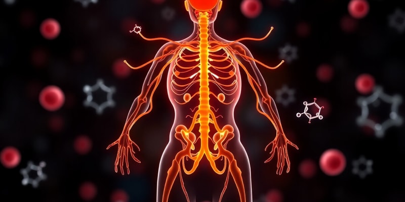 Endocrine System Hormones Quiz