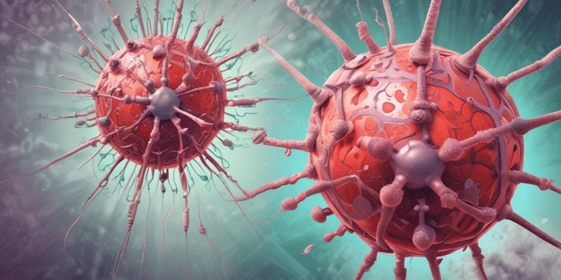Virus Varicelle-Zona (VZV) - Épidémiologie et Généralités