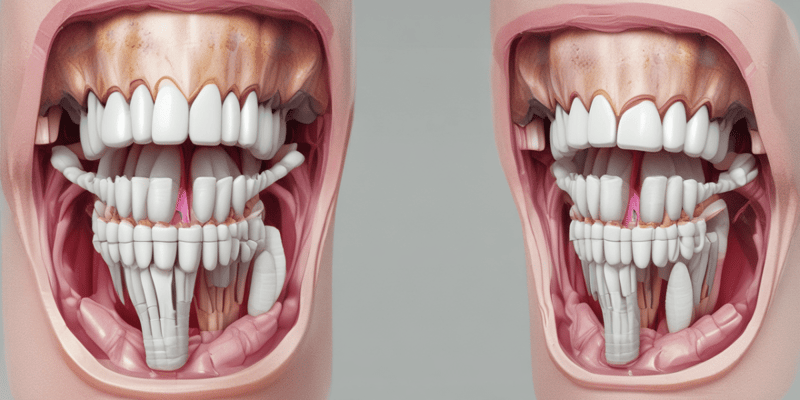 Dentistry: Root Morphology of Human Dentition