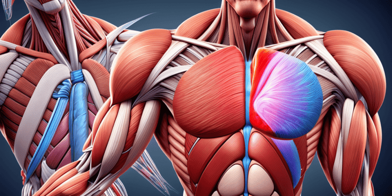 Types of Muscles in the Body Quiz