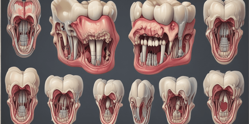 Tooth Development and Odontoblasts