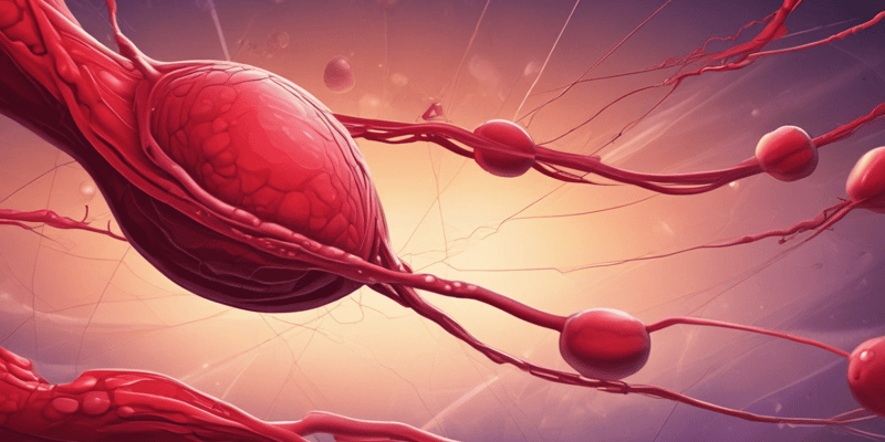 Trombocitosis: causas y diagnóstico