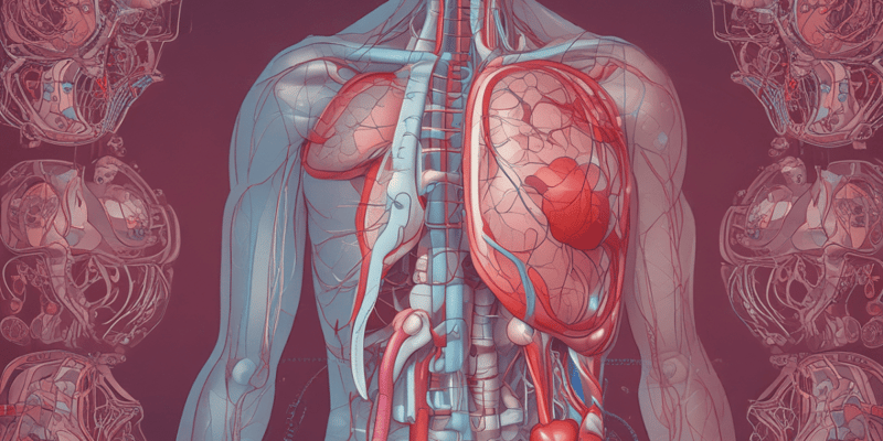 Respiratory and Cardiovascular Anatomy and Physiology