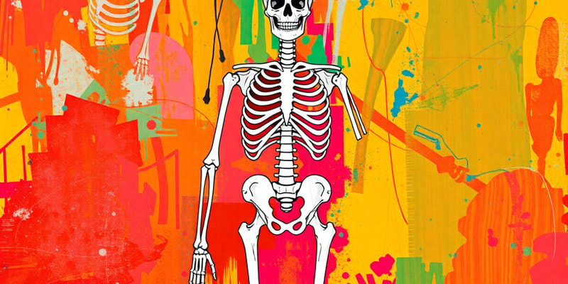 The Human Skeleton and Bone Types