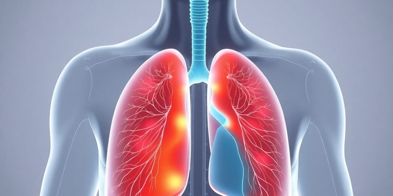 Respiratory System Overview