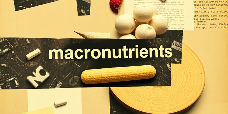 Nutrients and Macronutrients Quiz