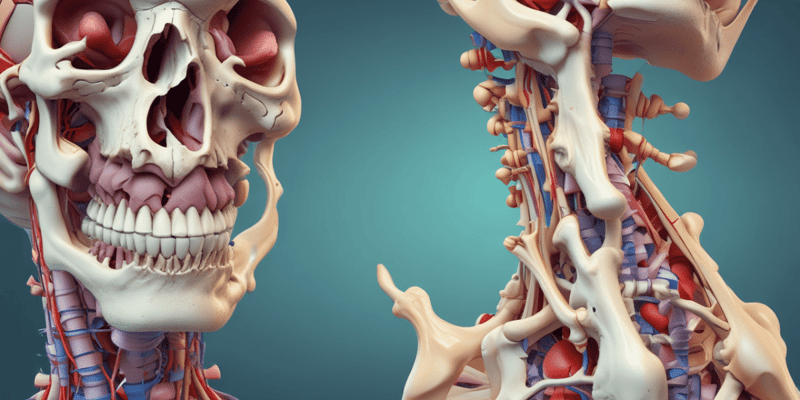 Bone Fractures Overview