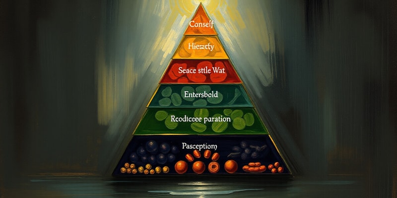 Maslow's Hierarchy of Needs Flashcards