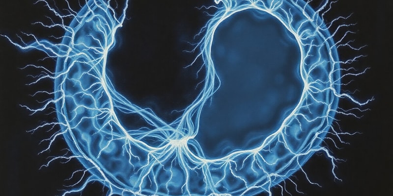 Lec-5-Cytoskeleton. EASY  GPT.OSR