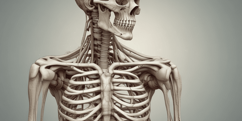 Structure and Functions of the Skeletal System